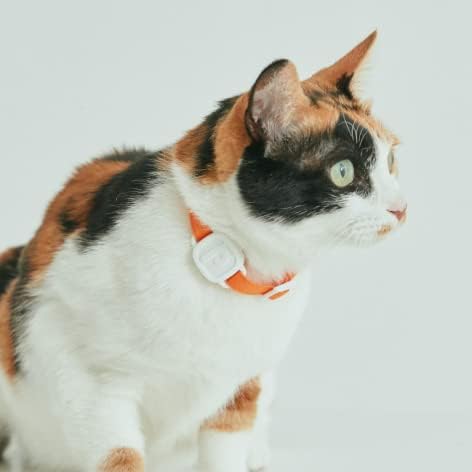 LavvieTAG Charger Smartwatch for cat Fitness Tracker Charge Long Lasts one - Image 5