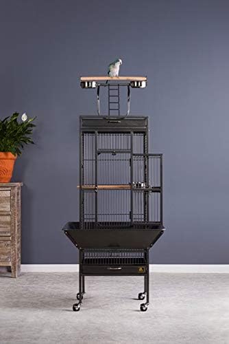 Prevue Pet Products Wrought Iron Select Bird Cage Black Hammertone 3151BLK - Image 2