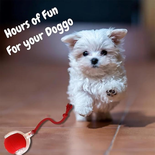 Valentines Day Gifts 2025 New Electric Dog Ball Toy, Electric Ball Dog Toy - Image 2