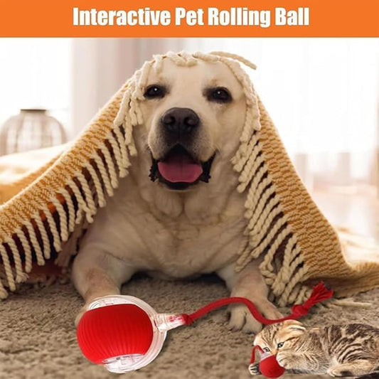 2025 New Electric Dog Ball Toy, 360° Smart Automatic Interactive Rolling Dog - Image 2