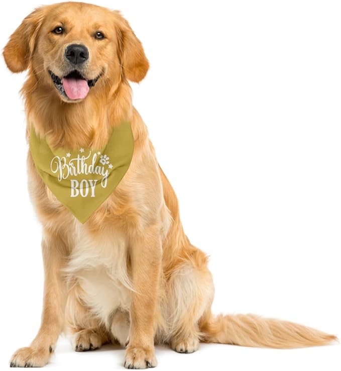 Birthday Boy Dog Bandanas, Dog Birthday Bandana, Birthday Bandana - Image 4