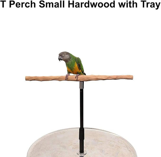 Parrot Training Perch Stand - Image 2