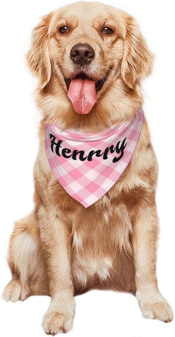 Custom Pet Scarf Personalized Dog Bandana - Image 8