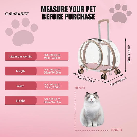 Transparent & Fully Breathable Hard Cat Carrier - Image 2