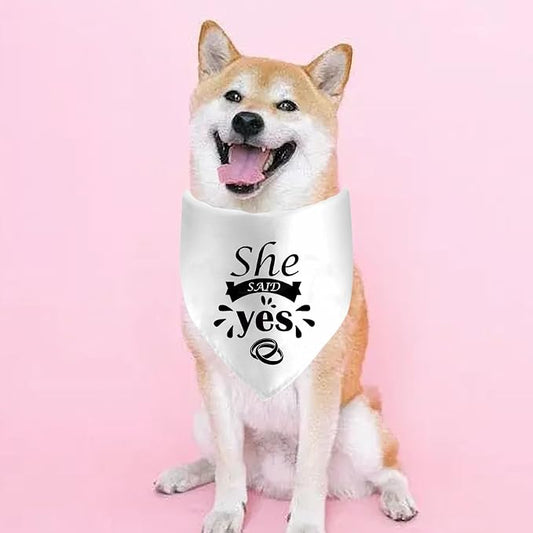 She Said Yes Dog Bandanas, Wedding Dog Scarf, Engagement Announcement Pet Scarf - Image 2