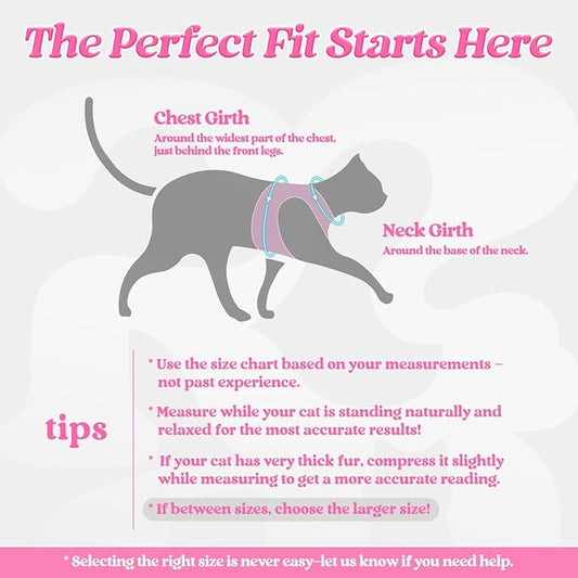 rabbitgoo Cat Harness and Leash Set - Image 2