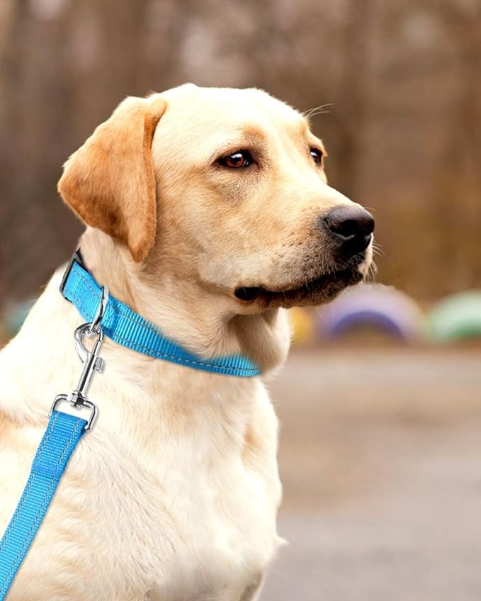 Reflective Dog Collar with Buckle Adjustable Safety Nylon Collars - Image 7