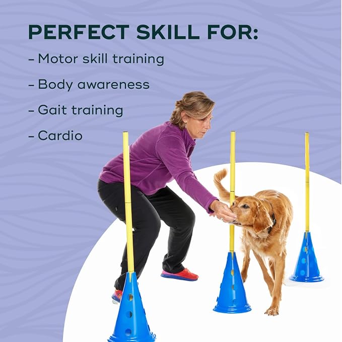 FitPAWS Ball Dynamics CanineGym Agility Kit - Image 5