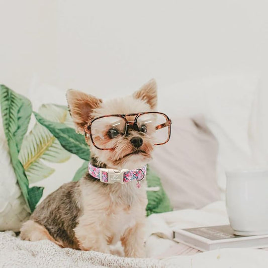 Floral Dog Collar, Cute Girl Dog Collars - Image 2
