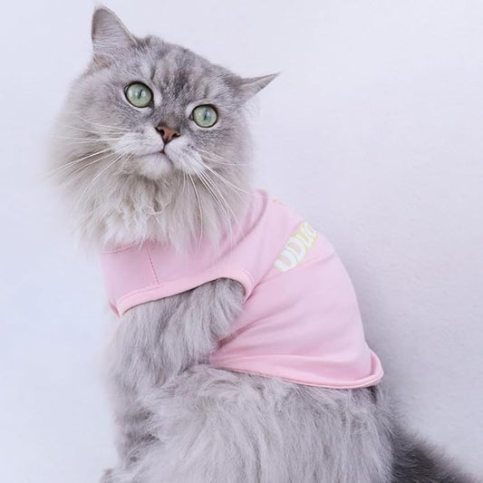 Custom Dog Shirt, Personalized Pet Apparel - Image 2