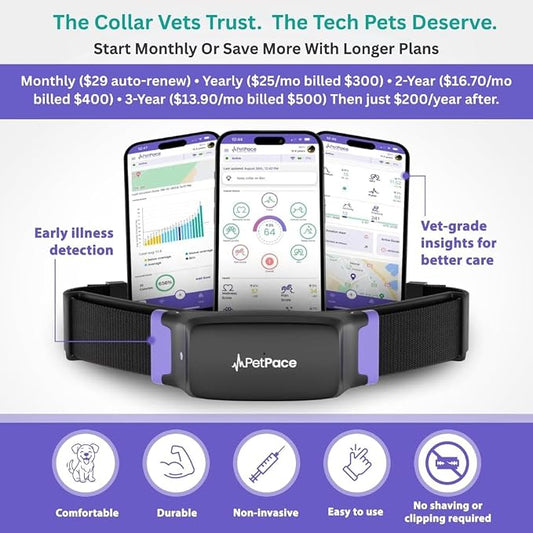 NEW Dog Health Monitor V3.0 by PetPace – AI Smart Collar - Image 2