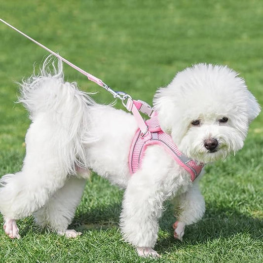 AIITLE Small Harness for Puppy - Image 2