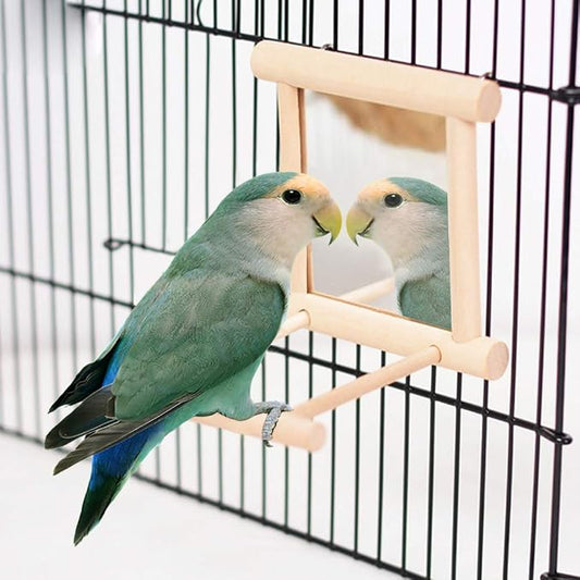 HANZE Bird Mirror With Swing, Hummingbird Perches - Image 2