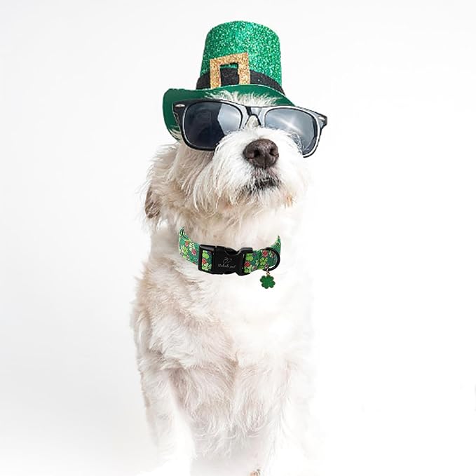 St Patricks Day Dog Collar for Small Dogs - Image 5