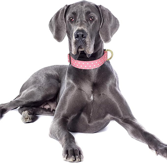Reflective Dog Collar for Large Dogs, Cute Adjustable Heavy-Duty Nylon Puppy - Image 2
