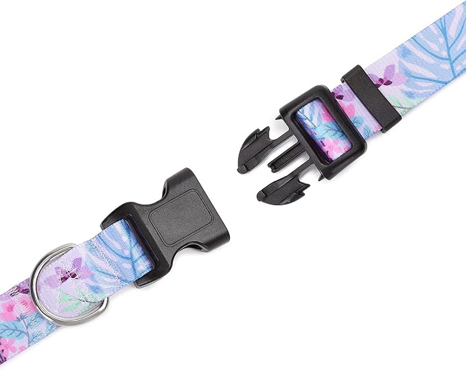 Mercano Adjustable Dog Collar - Image 5
