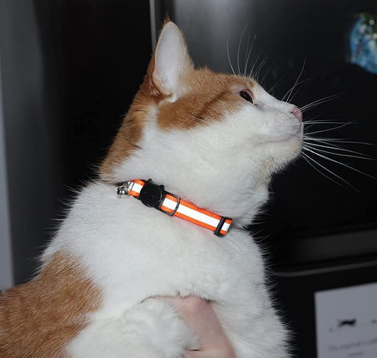 Reflective Cat Collar with Bell, Solid & Safe Collars - Image 2