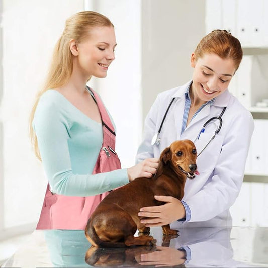 SlowTon Dog Carrier Sling - Image 2