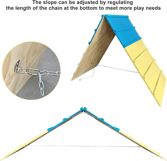 Dog Agility Course Backyard Equipment - Image 2