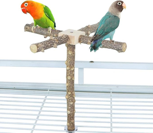 Bird Perch Stand Toy, Interactive Spinning Bird Toys, Wooden Parrot Perch - Image 2