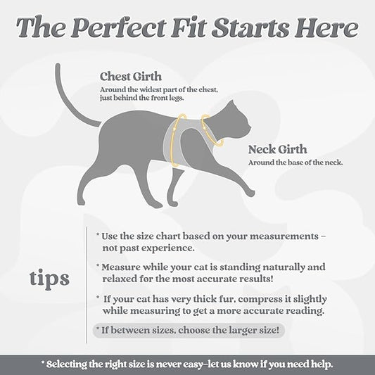 rabbitgoo Cat Harness and Leash Set - Image 2