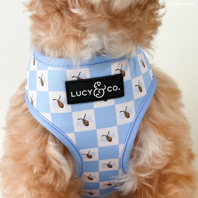 Lucy & Co. Bumbling Around Reversible Dog Harness, Adjustable Comfort Fit - Image 6