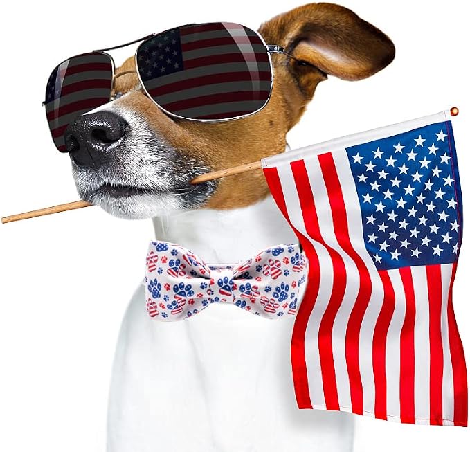Lionheart Glory American Flag Dog Collar - Image 6