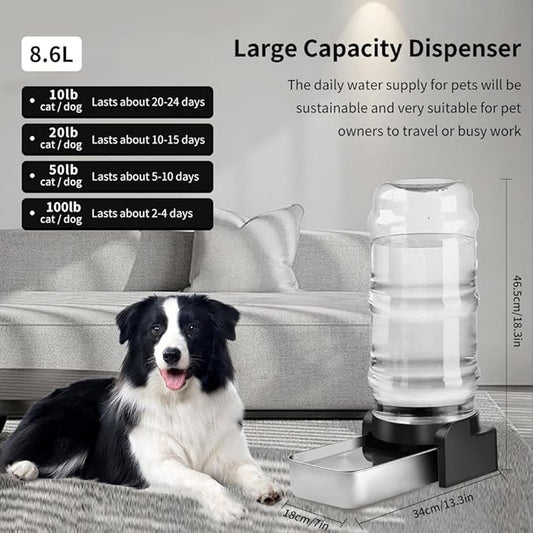 Marchul 2.3 Gallon Dog Water Dispenser, Large Dog Water Dispenser - Image 2