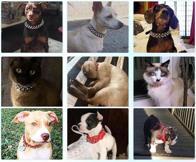Spiked Dog Collar Soft Pu Leather Mushrooms Rivet Spike Studded Puppy - Image 5
