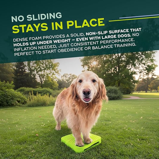 FitPAWS Balance Ramp | Dog Agility Equipment - Image 2