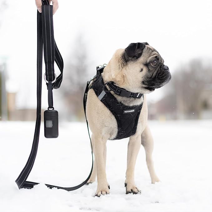 Best Pet Supplies Voyager Reflective Dog Leash or Collar - Image 5