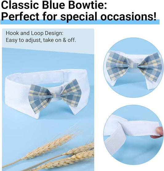 Segarty Dog Bow Tie Neck Girth 16.5-21.2in, Adjustable Blue Plaid Bowtie Collar - Image 2