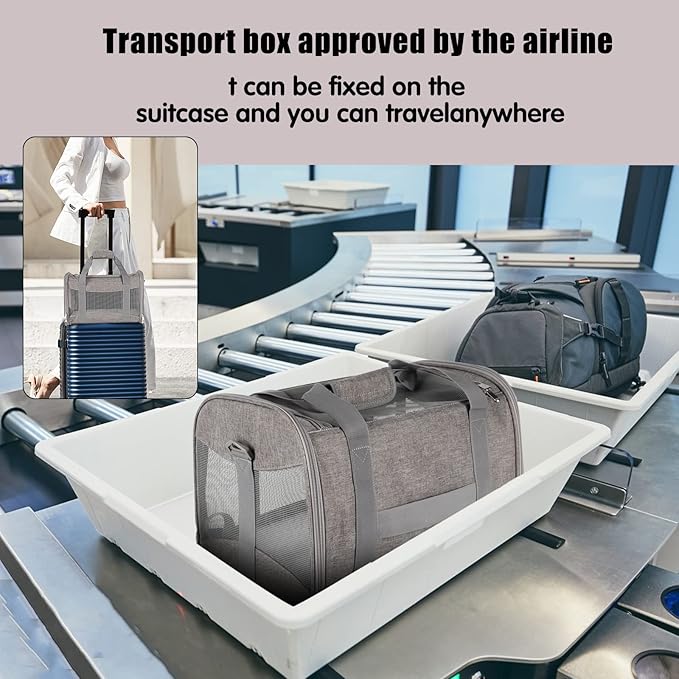 Cat Carrying Case - Image 6