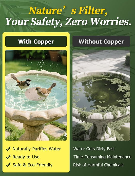 Mellbree Bird Bath Copper Disk, 0.6mm Reinforced 99.99% Pure Copper Cleaning - Image 2
