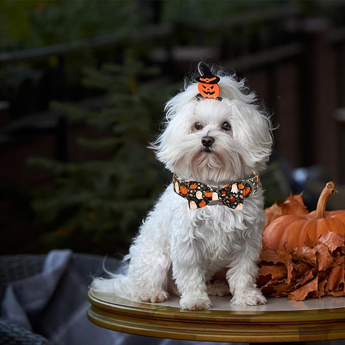 Halloween Dog Collar, Ghost Print Adjustable Pet Collar Fall Pumpkin Cute - Image 6