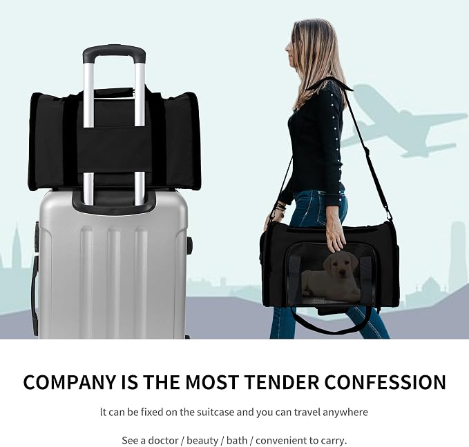 Mile High Life | Outdoor Travel Pet Carrier | Kitty Puppy Cat Carriers | - Image 7