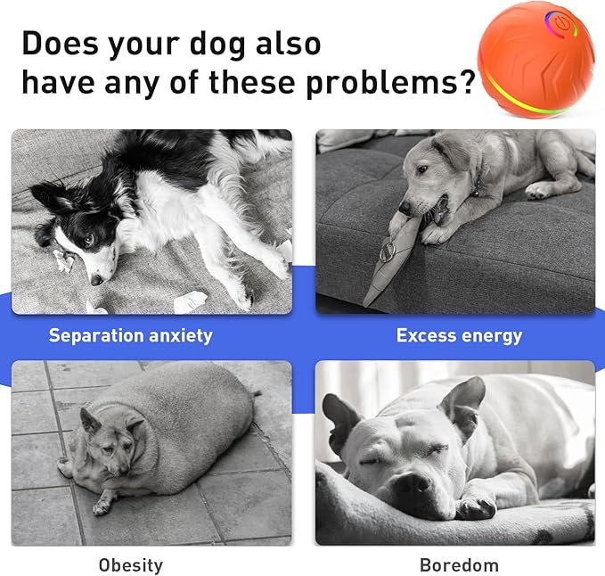 2026 T01 Interactive Dog Toys Dog Ball, Automatic Rolling and Bouncing Moving - Image 8