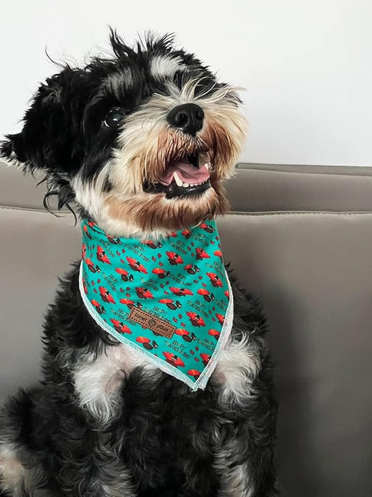Lionet Paws Thanksgiving Dog Bandana Washable Cotton Handkerchief Scarf - Image 2