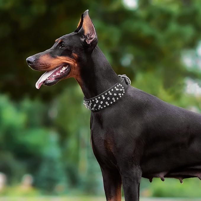 Epesiri Adjustable Wide Spiked Dog Collar, Mushroom Rivet PU Leather Cat Dog - Image 6