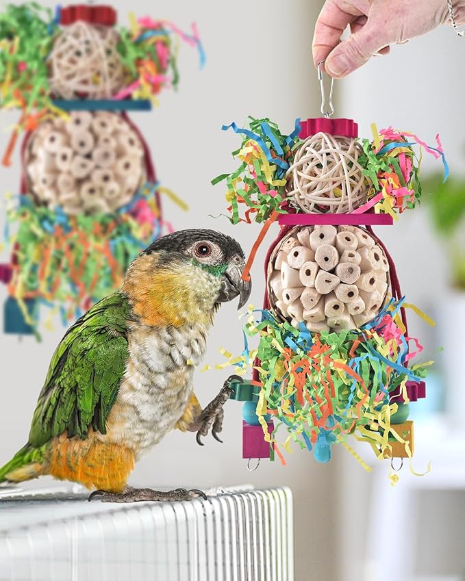 Bissap 2PCS Bird Parrot Foraging Shredder Hanging Toys Sola Balls Sepak Takraw - Image 6