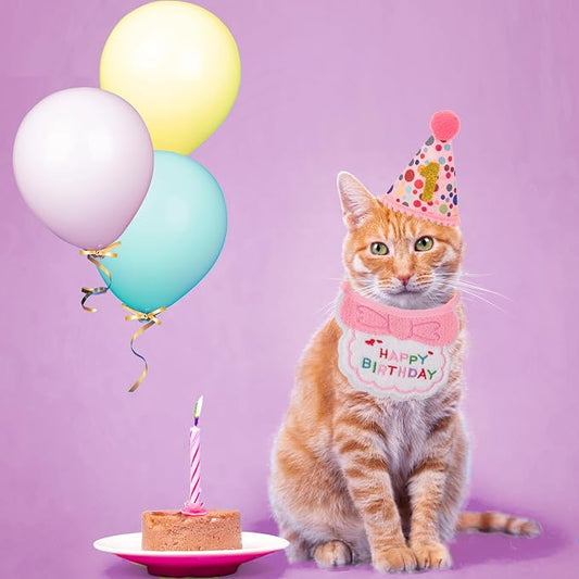 ADOGGYGO Cat Birthday Party Supplies - Image 2