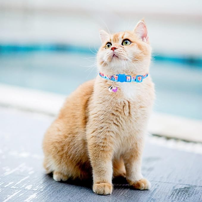 PUPTECK Summer Cat Collars Breakaway - Image 7