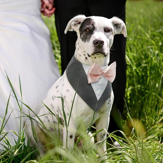 FUAMEY Dog Tuxedo for Small Dogs, Dog Formal Suit Dogs Attire Pet Bow Tie Puppy - Image 2
