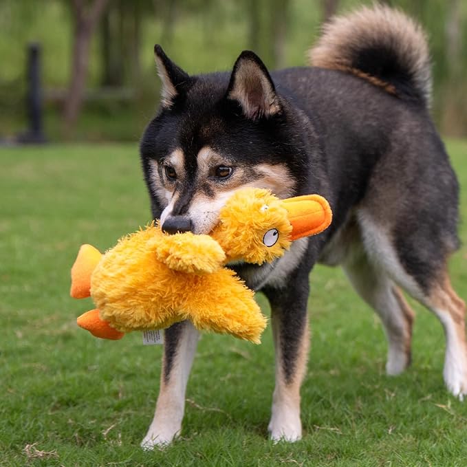 Best Pet Supplies Interactive Squeaky Dog Chew Toy, Ideal Dog Toys - Image 6