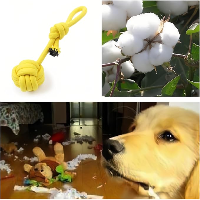 CandyColor Dog Cat Chew Rope Toy - 30cm Non-Toxic Dental Teething Toy - Image 7