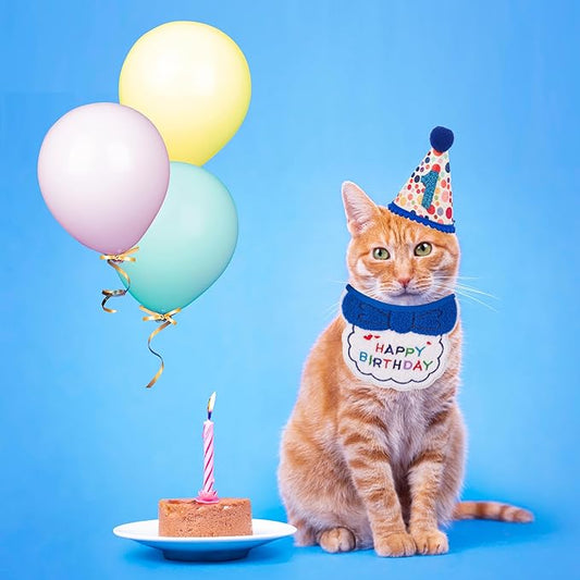 ADOGGYGO Cat Birthday Party Supplies - Image 2