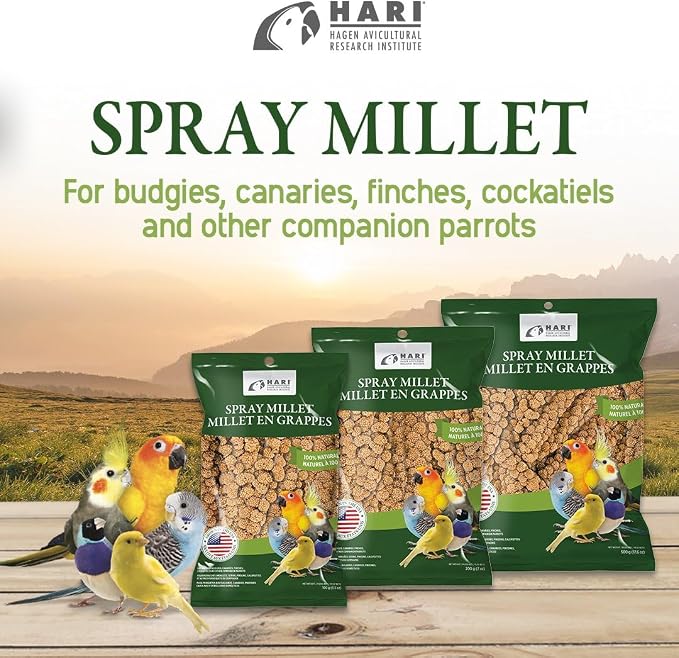 Living World – Millet Spray for Birds, 17.6 Oz – Premium Treat for Budgies - Image 6