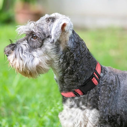 Joytale Reflective Dog Collar, Soft Neoprene Padded, Metal D-Ring, Nylon Pet - Image 2