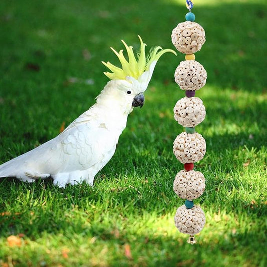 Bird Chewing Toy, Bird Sola Ball Toy - Image 2