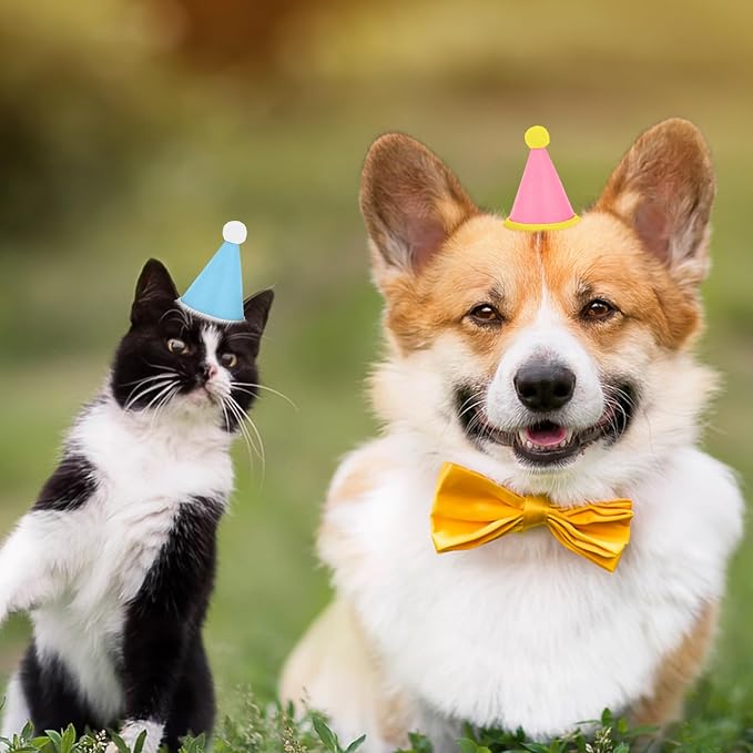Hxezoc 10 Pcs Mini Birthday Party Hats Multicolor Lovely Crimping Cone Hats - Image 8